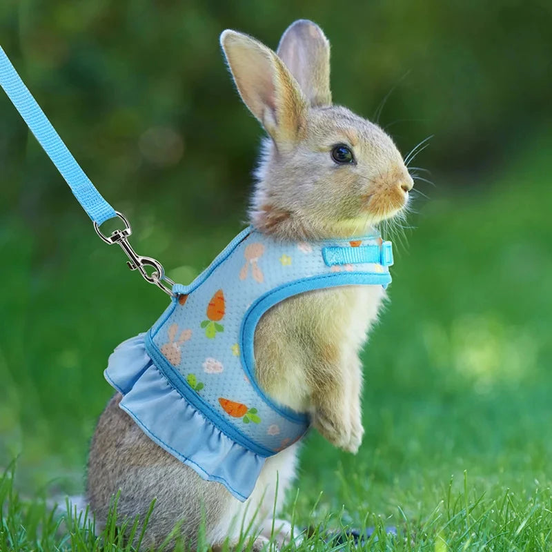 Cute Adjustable Rabbit Harness & Leash Set