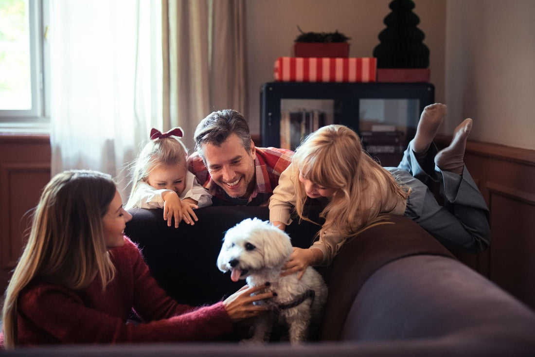 7 Simple Ways to Keep Your Dog Happy, Healthy & Active Every Day