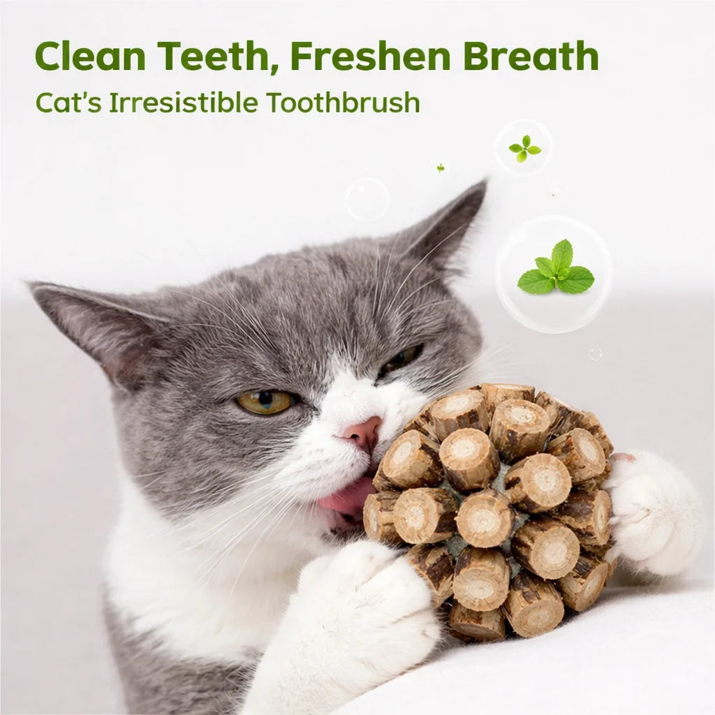 Bioline Matatabi Cat Toy Ball – Catnip Chew & Dental Care Toy
