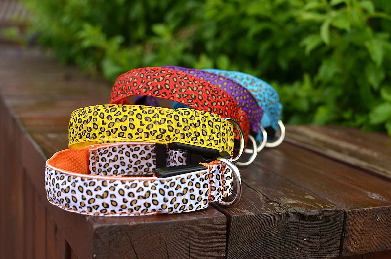LED Luminous Dog Collar – Adjustable Glow Safety Collar for Night Walks