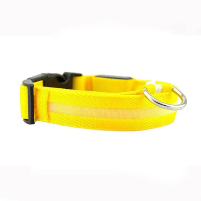 LED Luminous Dog Collar – Adjustable Glow Safety Collar for Night Walks