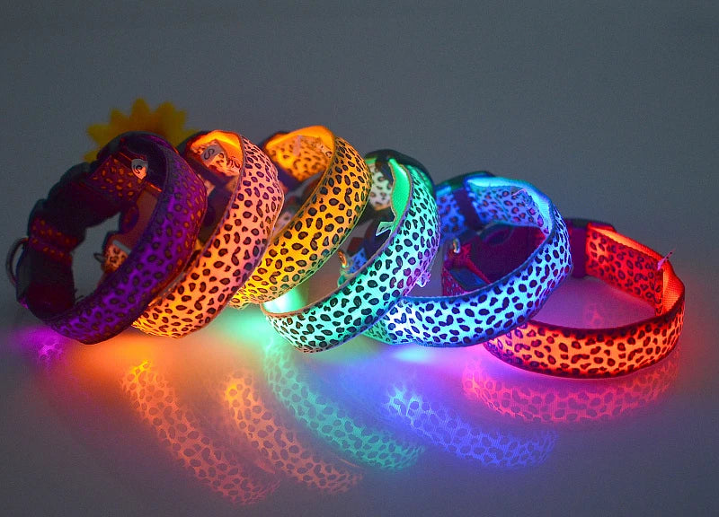 LED Luminous Dog Collar – Adjustable Glow Safety Collar for Night Walks