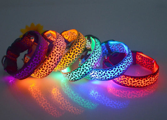 LED Luminous Dog Collar – Adjustable Glow Safety Collar for Night Walks
