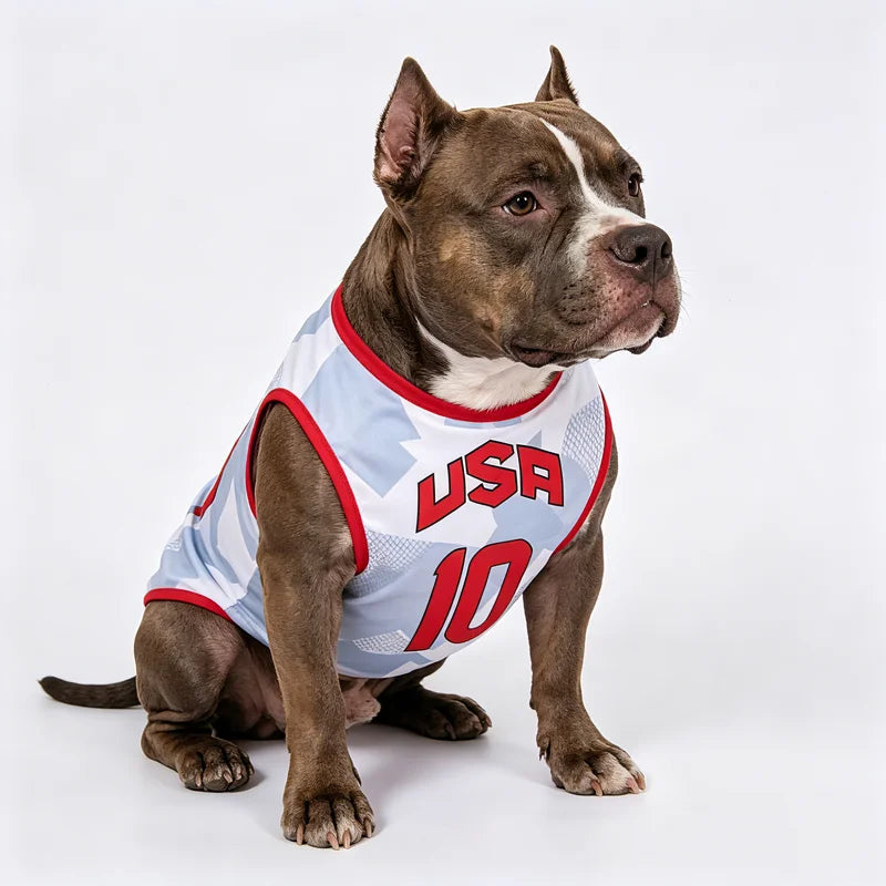 Sport Mesh Dog Vest – Summer Pet Shirt