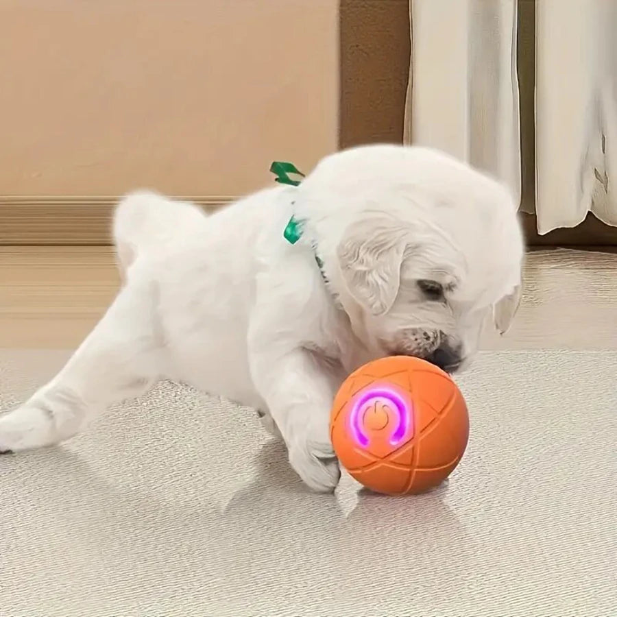Interactive Rolling Ball Toy for Dogs & Cats