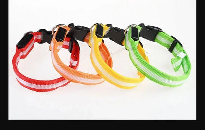 LED Night Safety Dog Collar