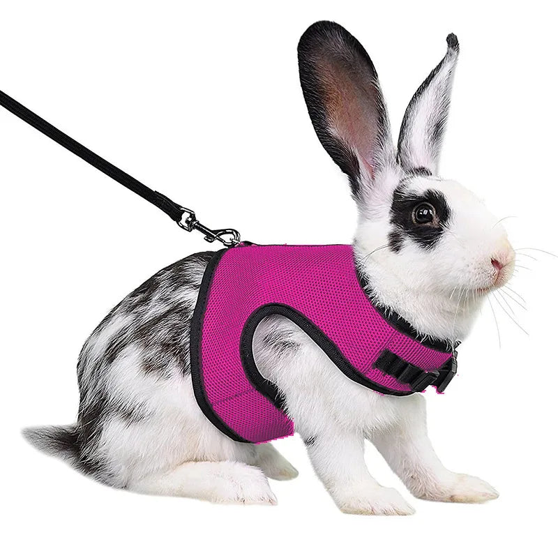 Rabbit Harness & Leash Set – Adjustable Walking Vest for Bunnies