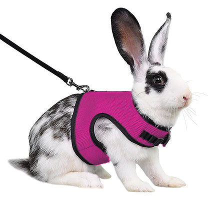 Rabbit Harness & Leash Set – Adjustable Walking Vest for Bunnies