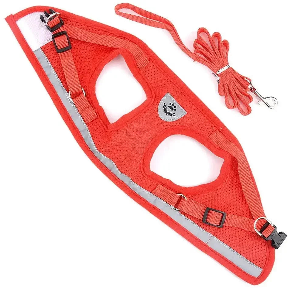 Reflective Cat & Small Dog Harness Set
