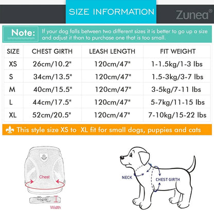 Reflective Cat & Small Dog Harness Set