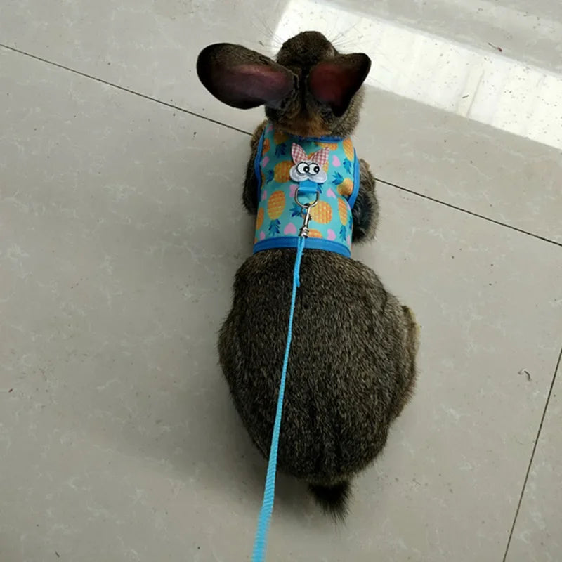 Cute Rabbit Walking Harness Set – Soft Vest with Leash for Outdoor Use
