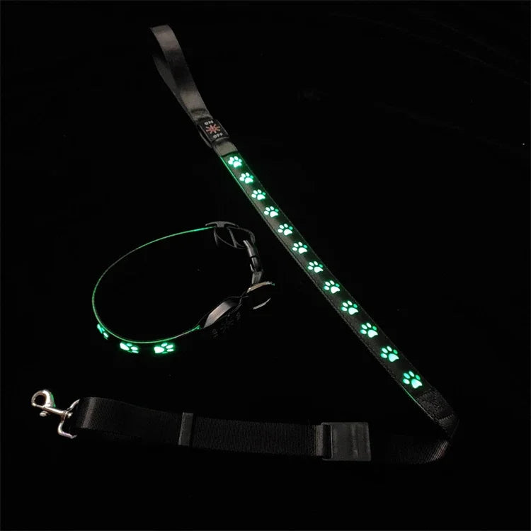 LED Light-Up Dog Collar & Leash Set
