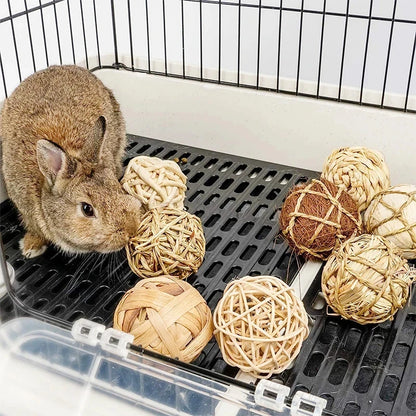 Wooden Rabbit Chew Toys – Natural Dental Roller Set