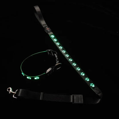 LED Light-Up Dog Collar & Leash Set