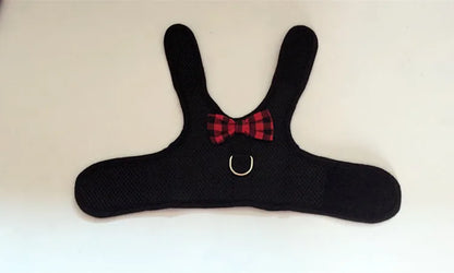 Cute Rabbit Walking Harness Set – Soft Vest with Leash for Outdoor Use