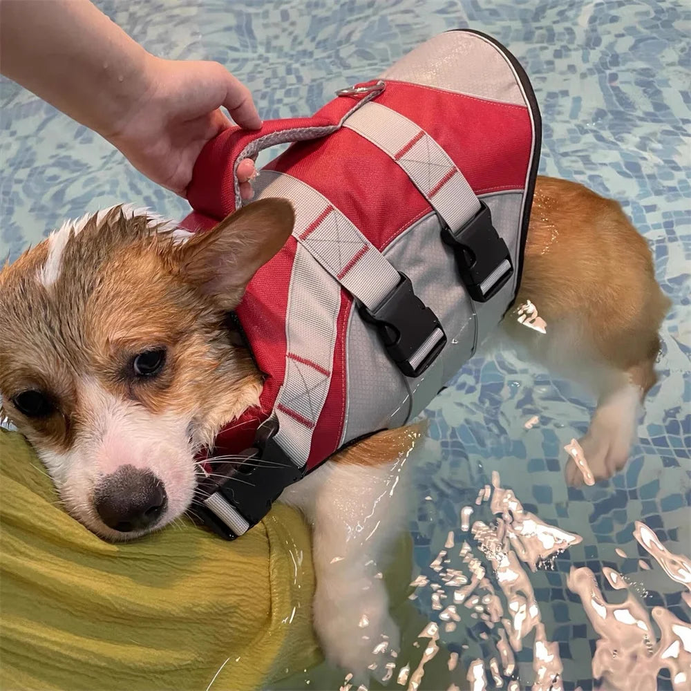 Reflective Dog Life Jacket – Adjustable Swim Safety Vest