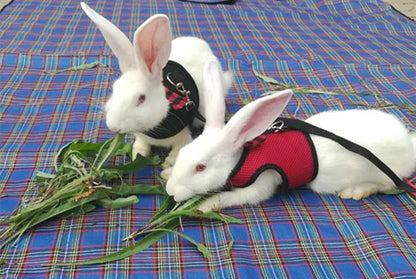 Cute Rabbit Walking Harness Set – Soft Vest with Leash for Outdoor Use