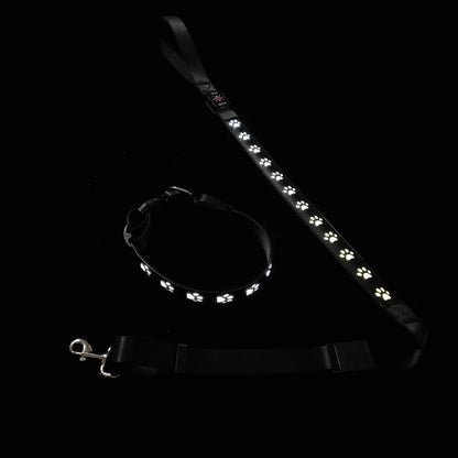 LED Light-Up Dog Collar & Leash Set