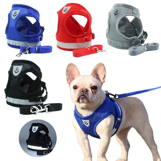 Reflective Cat & Small Dog Harness Set