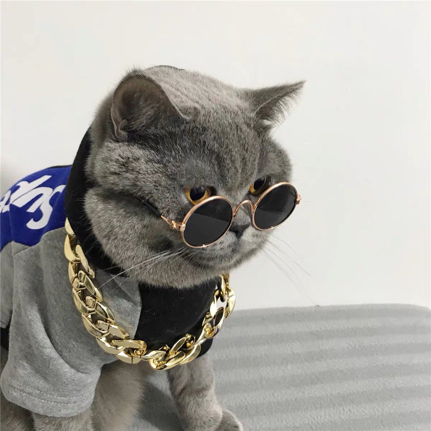 Vintage Round Pet Sunglasses – Fun Photo Prop for Cats & Small Dogs