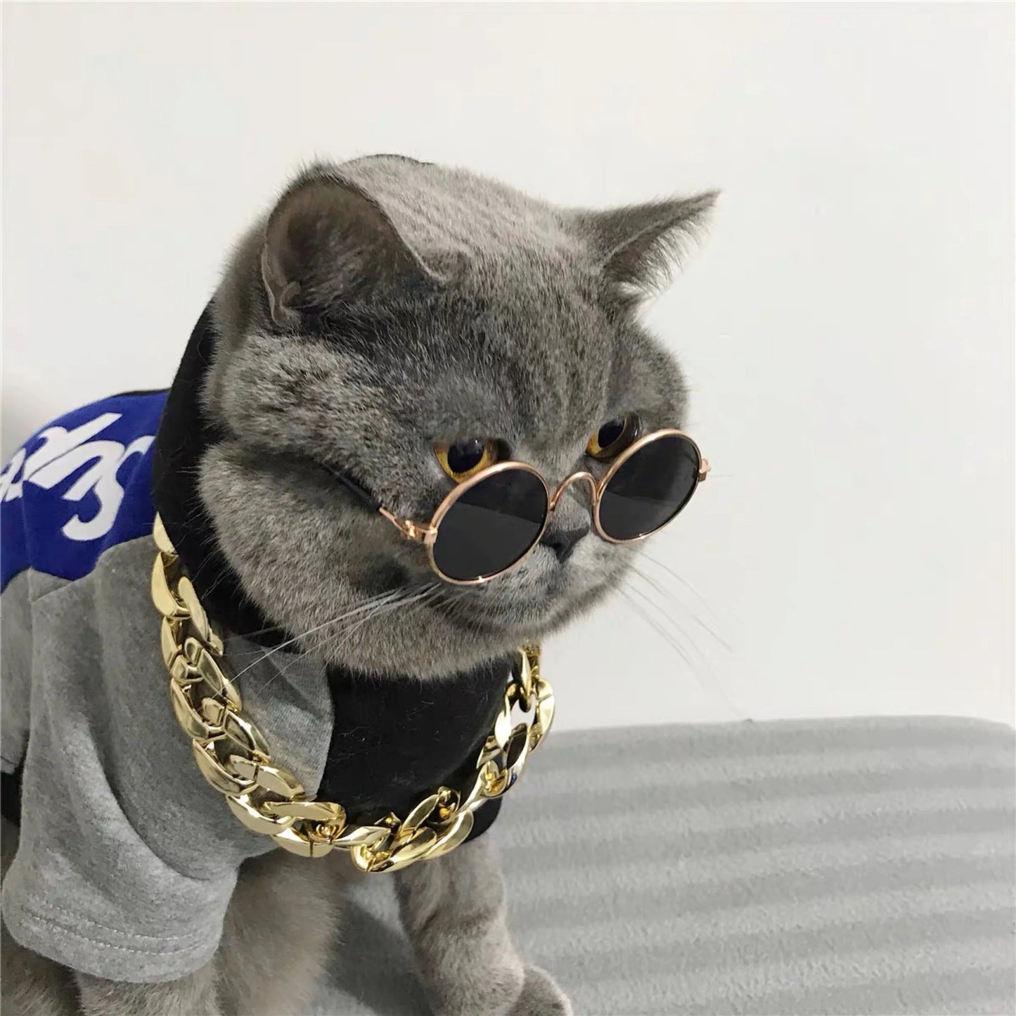 Vintage Round Pet Sunglasses – Fun Photo Prop for Cats & Small Dogs