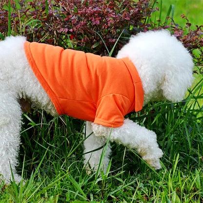 Luxury Dog Polo Shirt for Small Dogs
