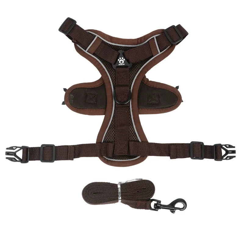 Dog Harness & Leash Set