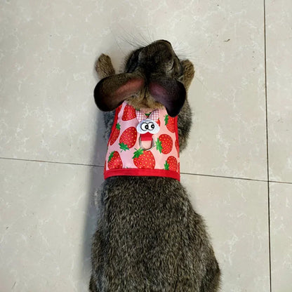 Cute Rabbit Walking Harness Set – Soft Vest with Leash for Outdoor Use