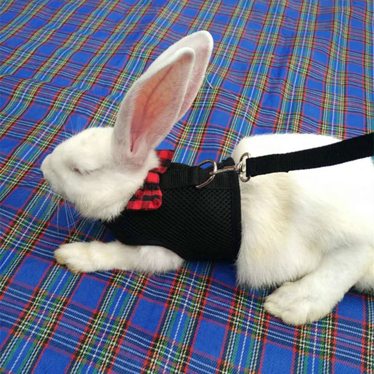 Cute Rabbit Walking Harness Set – Soft Vest with Leash for Outdoor Use