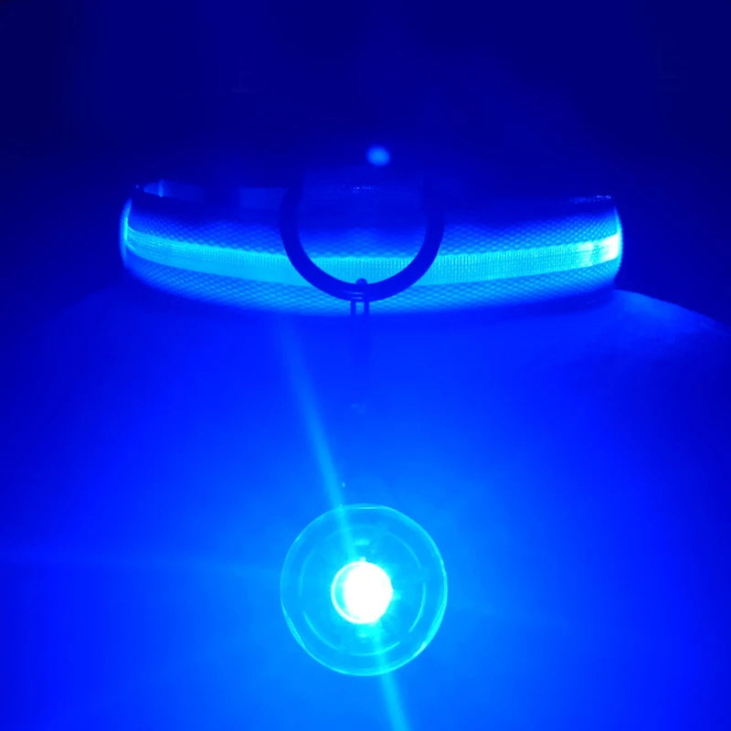 USB Rechargeable LED Dog Collar with Detachable Pendant – Luminous Safety Collar for Dogs & Cats