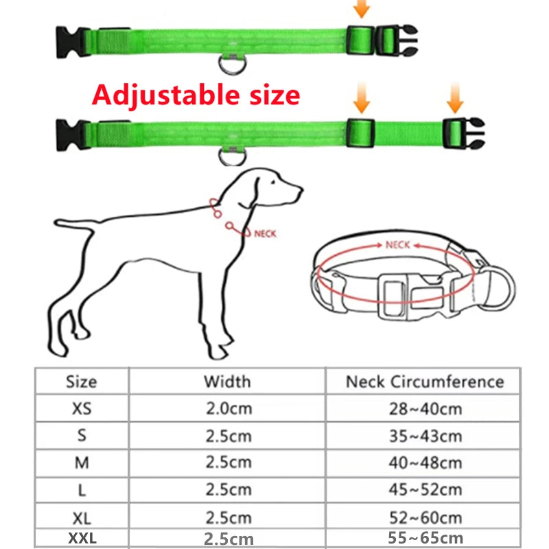 USB Rechargeable LED Dog Collar with Detachable Pendant – Luminous Safety Collar for Dogs & Cats