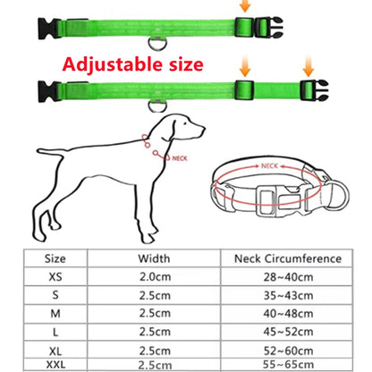 USB Rechargeable LED Dog Collar with Detachable Pendant – Luminous Safety Collar for Dogs & Cats
