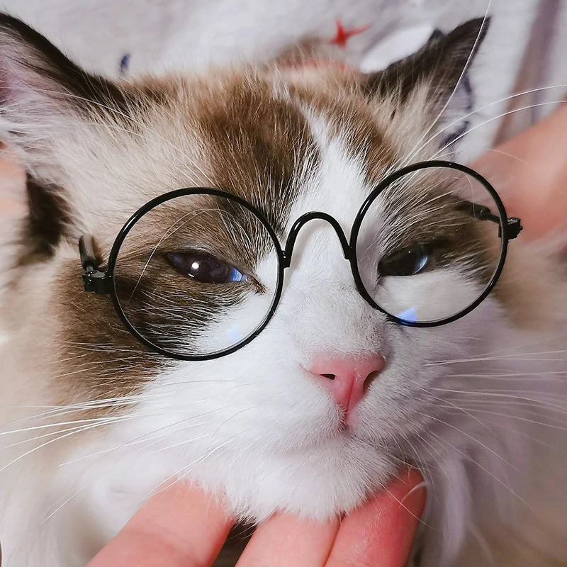 Vintage Round Pet Sunglasses – Fun Photo Prop for Cats & Small Dogs