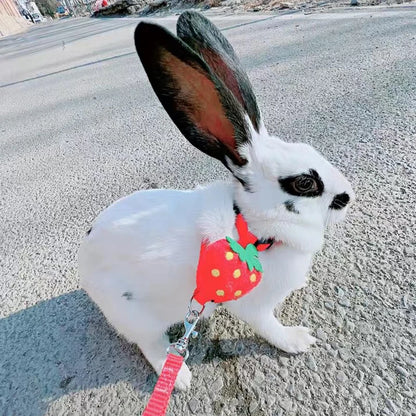 Cartoon Rabbit Harness Set