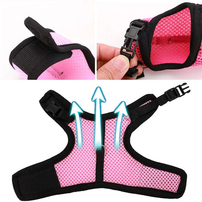 Rabbit Harness & Leash Set – Adjustable Walking Vest for Bunnies