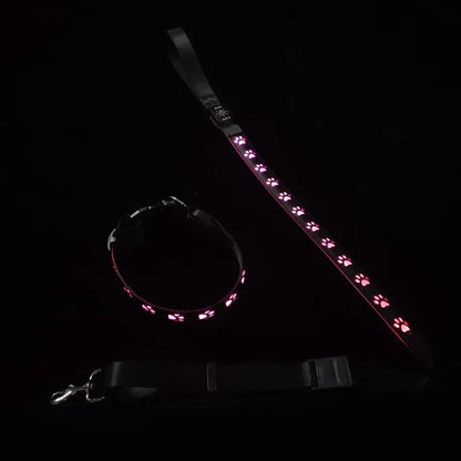 LED Light-Up Dog Collar & Leash Set