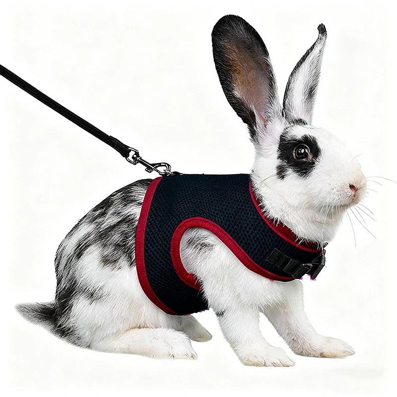 Rabbit Harness & Leash Set – Adjustable Walking Vest for Bunnies