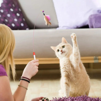 Cat Toy Variety Pack – Interactive Balls, Teasers & Sisal Mouse Set