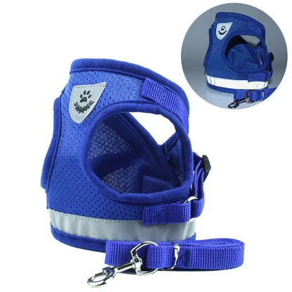 Reflective Cat & Small Dog Harness Set