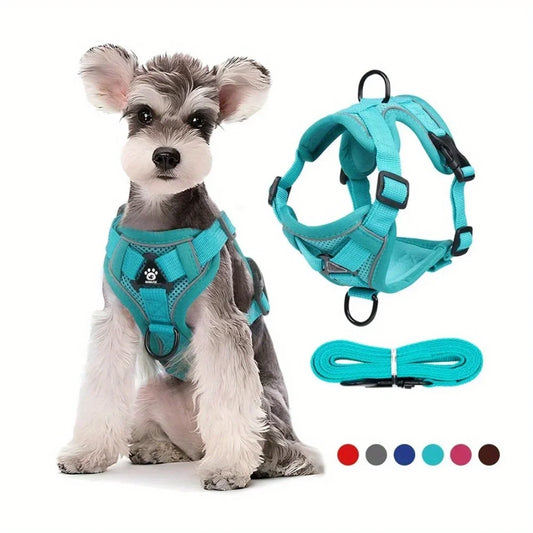Dog Harness & Leash Set