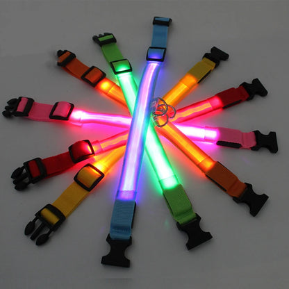 USB Rechargeable LED Dog Collar with Detachable Pendant – Luminous Safety Collar for Dogs & Cats