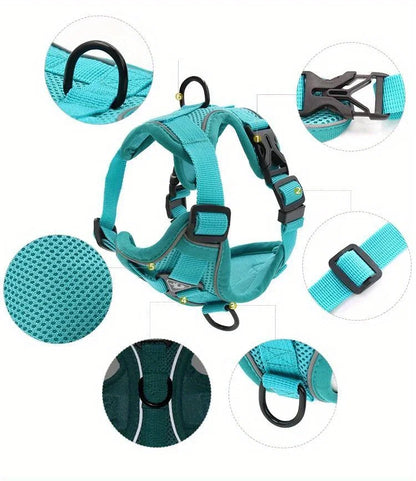 Dog Harness & Leash Set
