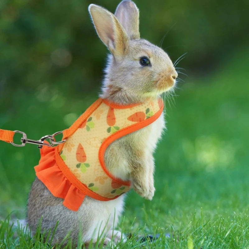 Cute Adjustable Rabbit Harness & Leash Set