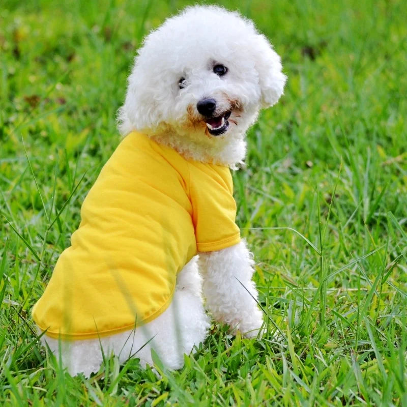 Luxury Dog Polo Shirt for Small Dogs