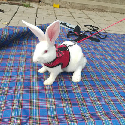 Cute Rabbit Walking Harness Set – Soft Vest with Leash for Outdoor Use