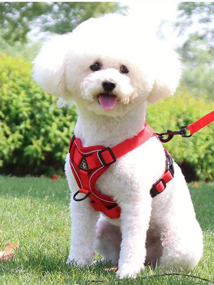 Dog Harness & Leash Set