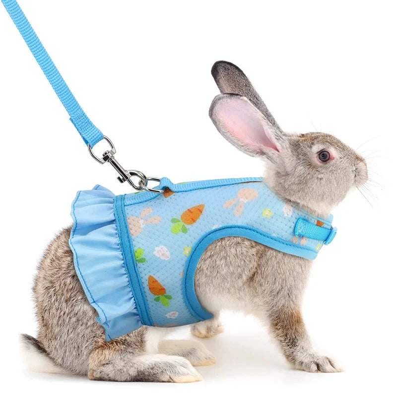Cute Adjustable Rabbit Harness & Leash Set