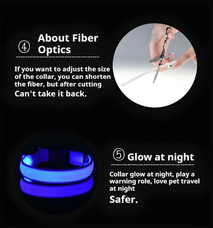 LED Night Safety Dog Collar