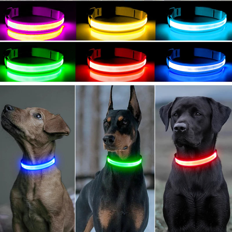 USB Rechargeable LED Dog Collar with Detachable Pendant – Luminous Safety Collar for Dogs & Cats