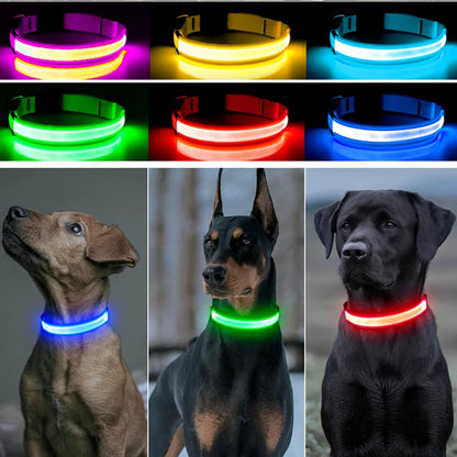 USB Rechargeable LED Dog Collar with Detachable Pendant – Luminous Safety Collar for Dogs & Cats